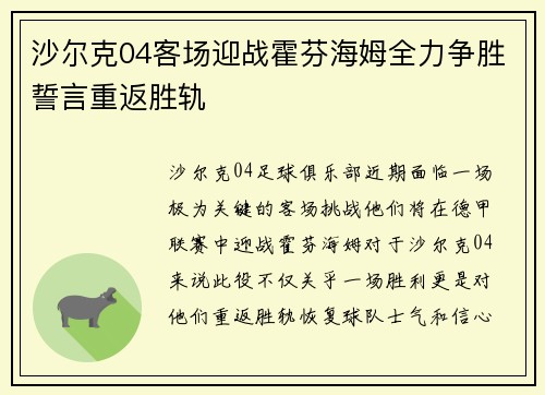 沙尔克04客场迎战霍芬海姆全力争胜誓言重返胜轨 沙尔克04客场迎战霍芬海姆全力争胜誓言重返胜轨
